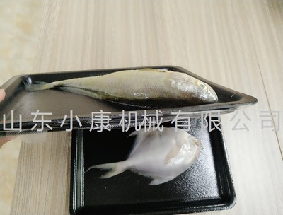 連續(xù)貼體包裝機 自動切割貼體包裝機廠家包郵