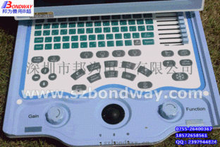 專業獸用B超設備 節能經濟型寵物醫療解決方案