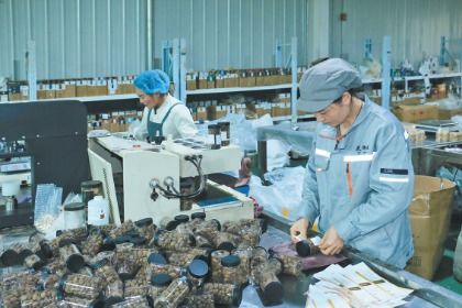 岷縣電商訂單生產(chǎn)忙，互聯(lián)網(wǎng)銷(xiāo)售開(kāi)辟致富新路